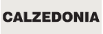 Calzedonia Italy — Calzedonia Italy