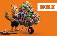 Obi Germany — Obi Germany